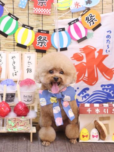 20240718ピノくん